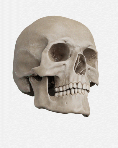 Dexis OP 3D™ LX 10x10 FOV Ceph. Dexis OP 3D™ LX 10x10 FOV Ceph.